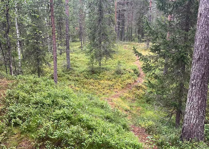 Kantokelo * Ylläsjärvi